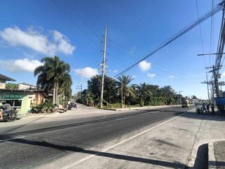 Commercial Lot for sale corner Lot 2.9 hectares in Rosario, Batangas