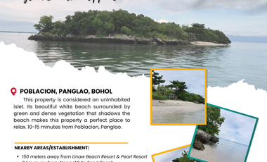 3,848 sq.m Island for Sale located in Panglao Island, Bohol