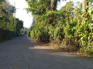 Corner Lot in Sulsugin Alfonso Cavite for SALE! 7,935 sqm at P4,700 per sqm