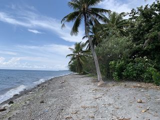 BEACH LOT FOR SALE IN ZAMBOANGUITA ID 14926