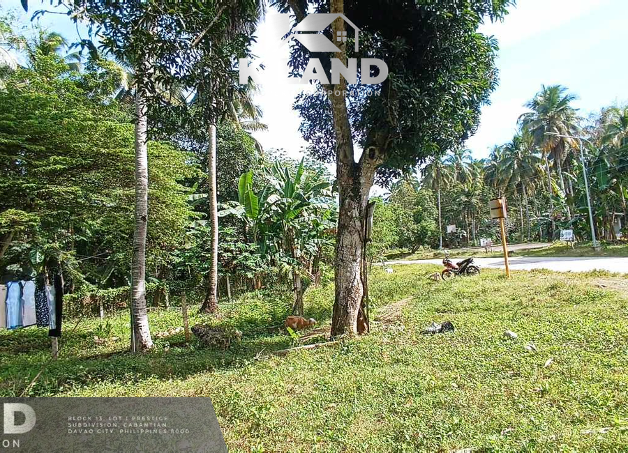 SEMI OVERLOOKING LOT IN AUMBAY SAMAL ISLAND | Lamudi.com.ph