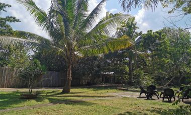 2425 sq. m. Titled Lot For Sale in Tawala, Panglao, Bohol
