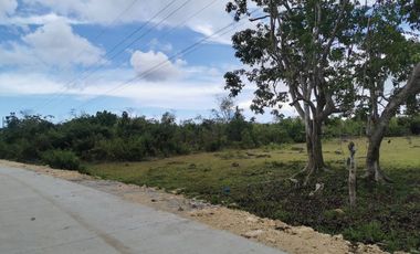 89,864 sq.m Titled Lot For Sale located in Tangnan, Panglao Island, Bohol
