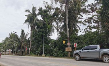 Titled Commercial Lot for Sale located in Barangay Tawala, Panglao Island, Bohol