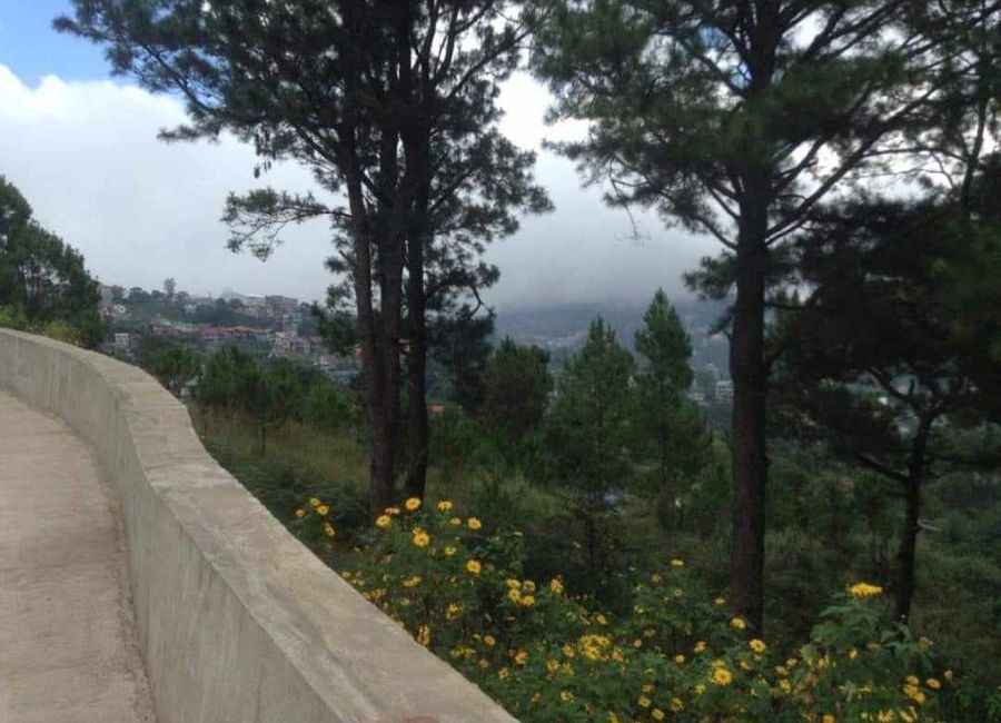 place photo 6