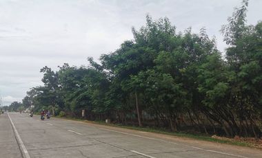 8,000 sq.m Titled Lot For Sale located in Dao, Dauis, Panglao Island, Bohol