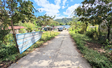 FOR SALE -  Agricultural lot in Boso-Boso Antipolo