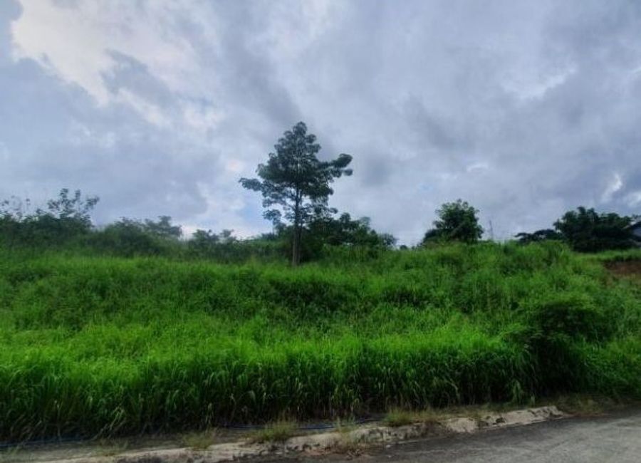 Parkridge Drive, Park Ridge, Santa Cruz, Antipolo, Rizal