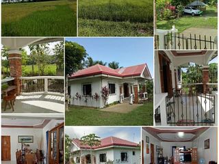 3BR, 3T&B Bungalow House and Lot with Farm