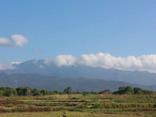Ideal Retirement Farm Lot for Sale - Perfect for Farming and Relaxing