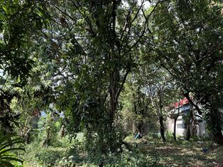Residential lot for sale Xavierville 2 Subdivision, Brgy Loyola Heights, Quezon City near Ateneo de Manila University
