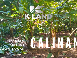 7000sqm Fruitful Investment: Prime Farming Land in Tawan-tawan Calinan