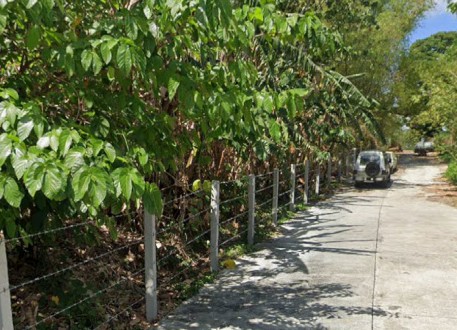Maharlika Highway, San Juan, Alaminos, Laguna
