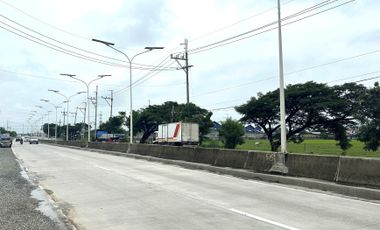 PLARIDEL BYPASS ROAD Vacant Lot For Sale 8,000 sqm