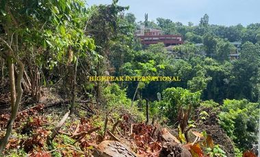 Maria Luisa Upper Phase 8 Lot for Sale with view