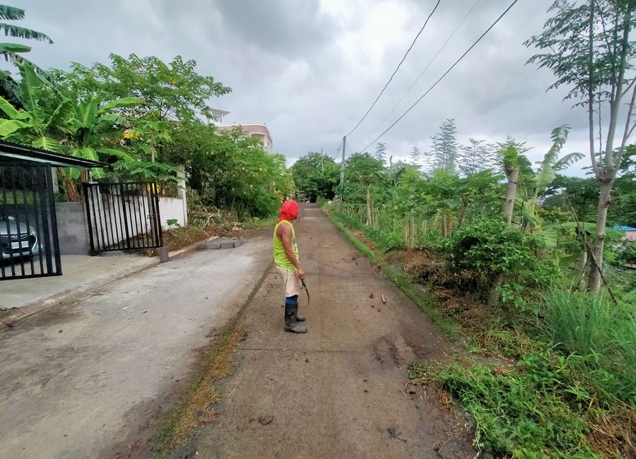 Bucal, Calamba, Laguna image 2