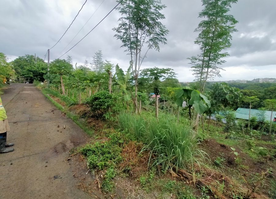 Bucal, Calamba, Laguna image 3