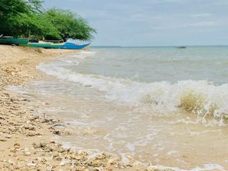High-end Beach lot in Daanbantayan, Cebu