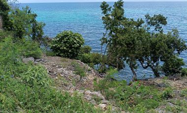 846sqm clean title beachfront cliff lot in Tabalong, Dauis Panglao Island