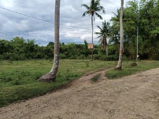 1000sqm clean title lot in Tawala Panglao Bohol at 3200 per sqm