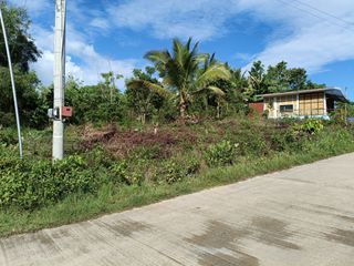 650sqm corner lot in Mariveles Dauis Panglao Bohol 3500 per sqm
