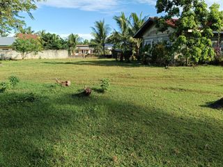 711sqm clean title lot in bingag Dauis Panglao Island Bohol 3500 per sqm