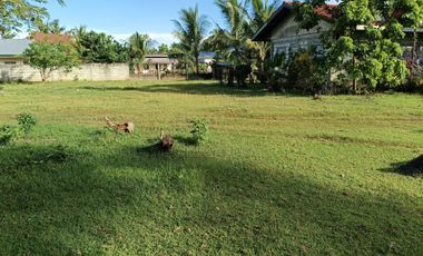 711sqm clean title lot in bingag Dauis Panglao Island Bohol 3500 per sqm