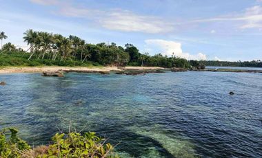Siargao Beach Lot for Sale - Siargao Surfview Estate