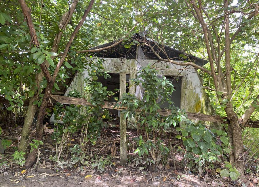place photo 16