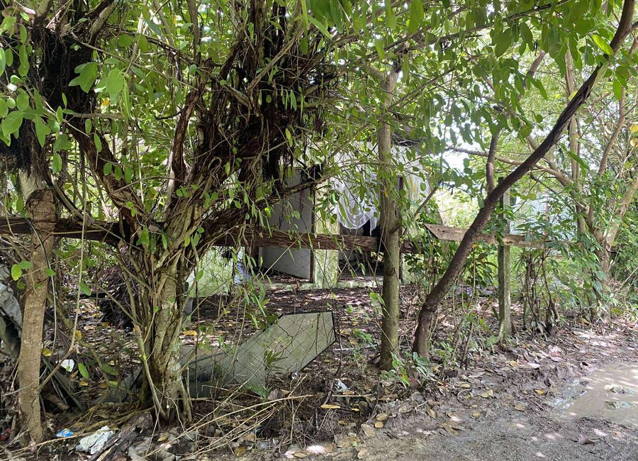 place photo 13