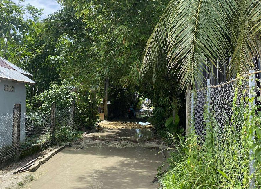 place photo 17