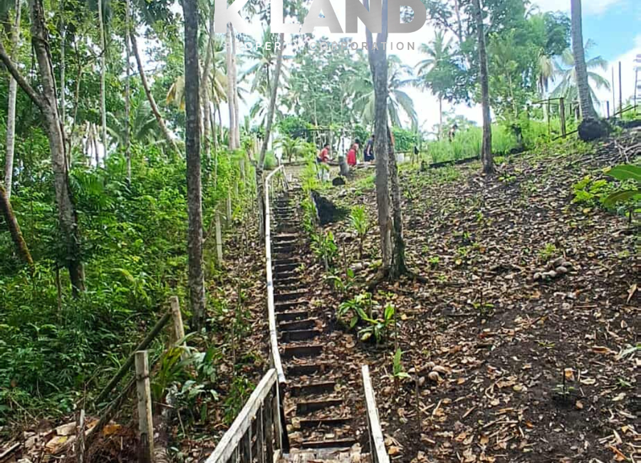 5,000 SQM OVERLOOKING HOUSE & LOT IN CAWAG SAMAL ISLAND | Lamudi.com.ph