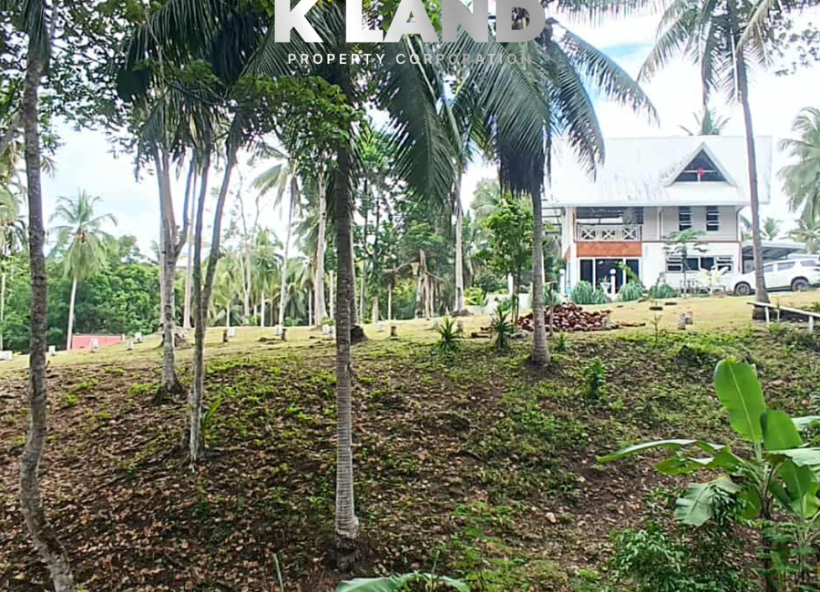 5,000 SQM OVERLOOKING HOUSE & LOT IN CAWAG SAMAL ISLAND | Lamudi.com.ph