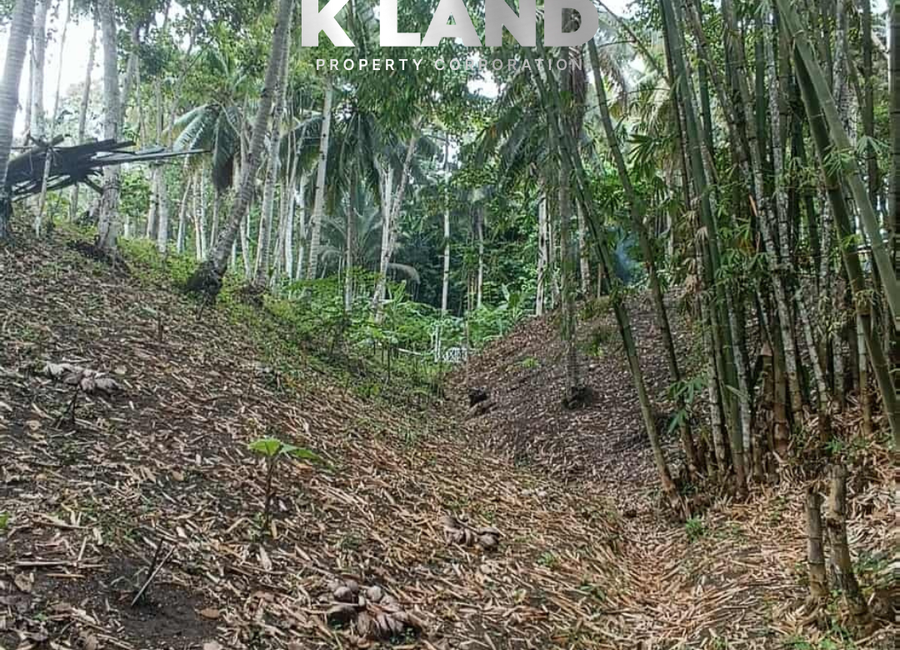 5,000 SQM OVERLOOKING HOUSE & LOT IN CAWAG SAMAL ISLAND | Lamudi.com.ph