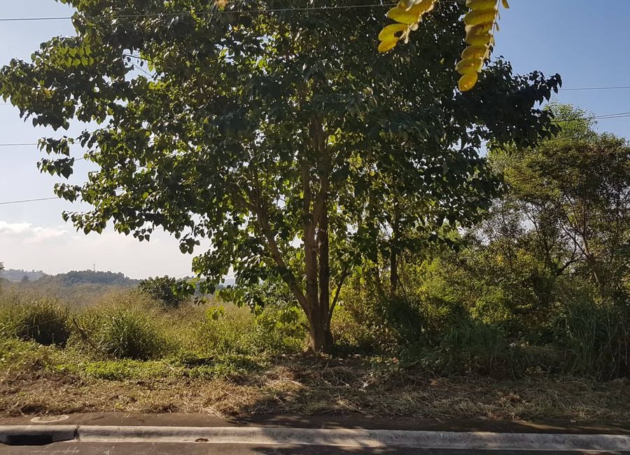 Timberland Avenue, Timberland Heights, San Mateo, Rizal image 3