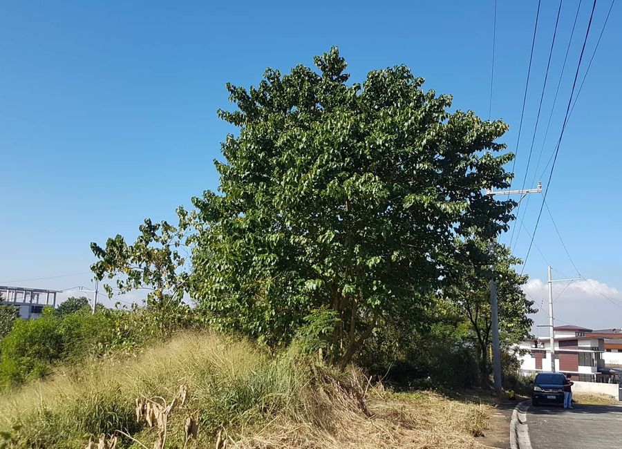 Timberland Avenue, Timberland Heights, San Mateo, Rizal