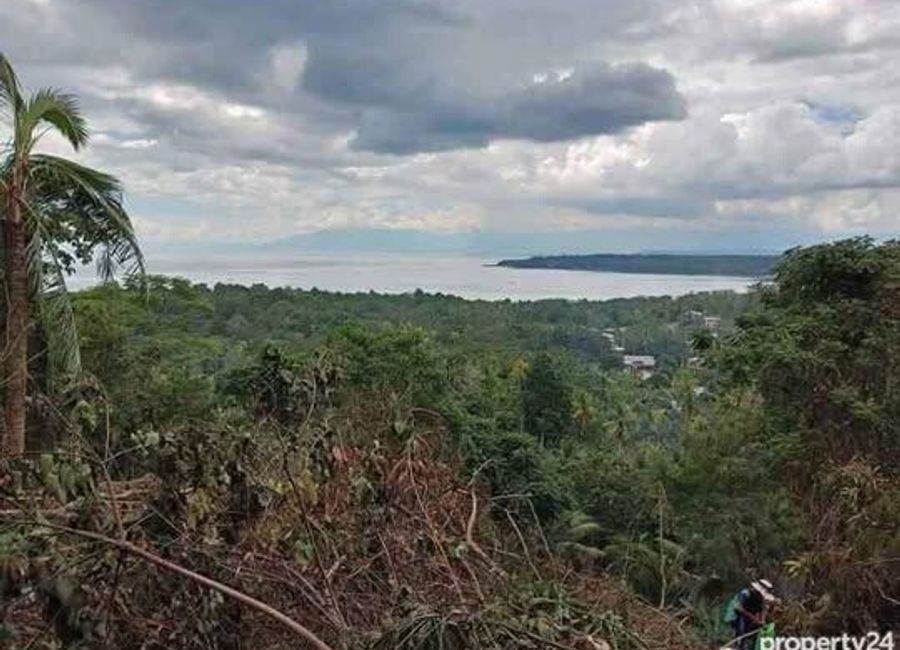 OVERLOOKING LOT IN SAMAL ISLAND FOR SALE | Lamudi.com.ph