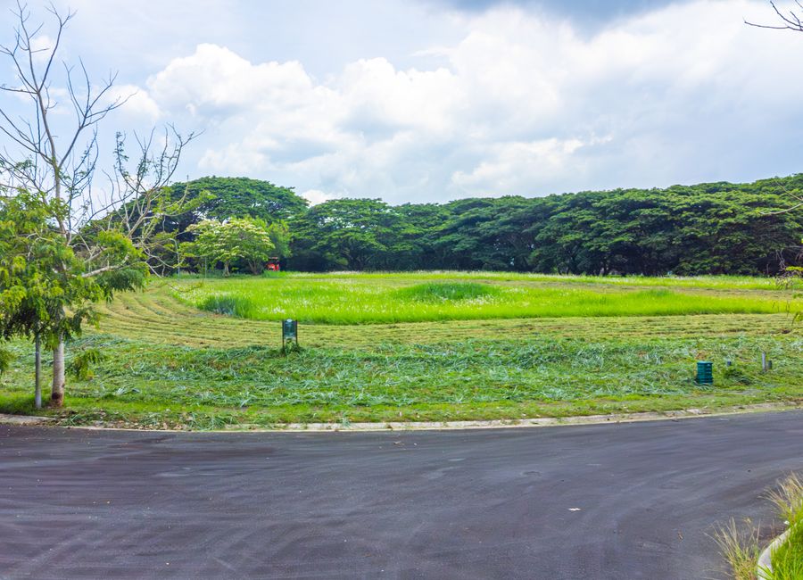 Soliento, Canlubang, Calamba, Laguna image 2