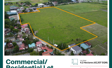 Sta. Cruz Laguna Commercial Lot for Sale