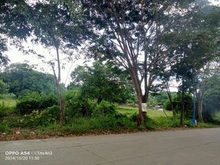 2,000 SQM. Lot for Sale in Baras Rizal