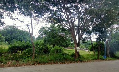 20,000 SQM. Lot for Sale in Baras Rizal