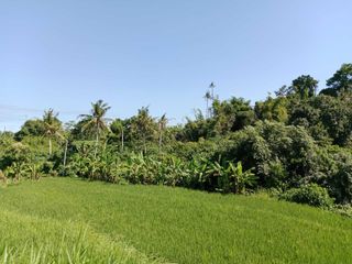 Tanah 12Ha Lokasi Bypass IB Mantra 39 Menit Menuju Airport Ngurah Rai