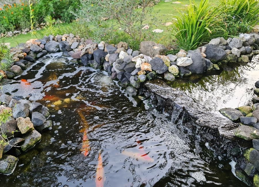 place photo 14