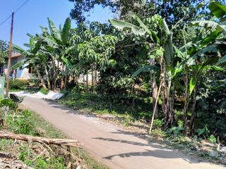Tanah kebun dan sawah