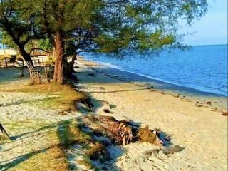 Tanah Di Desa Pegantungan,Badau,Belitung-Depan Pantai Cocok U/ Resort