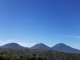 Dijual Tanah Jalan Utama Asah Gobleg Buleleng
