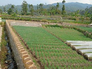 Dijual Tanah Padat Di Desa Wisata Ciwidey