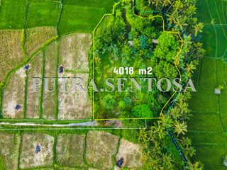 TANAH UBUD LODTUNDUH VIEW SAWAH LOS SUNGAI