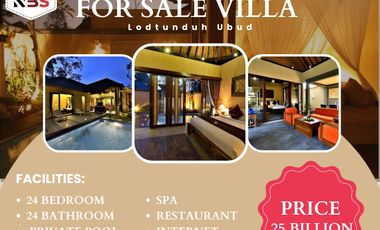 FOR SALE VILLA COMPLEX 19 VILLAS IN LODTUNDUH UBUD