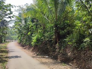 Dijual kebun durian di Sbr. Jambe Jember